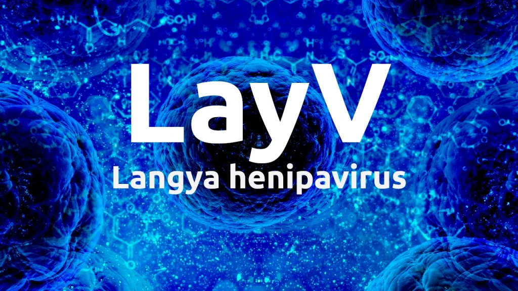 Ένας νέος ιός με το όνομα Langya henipavirus (LayV) ανιχνεύθηκε στην Κίνα.
