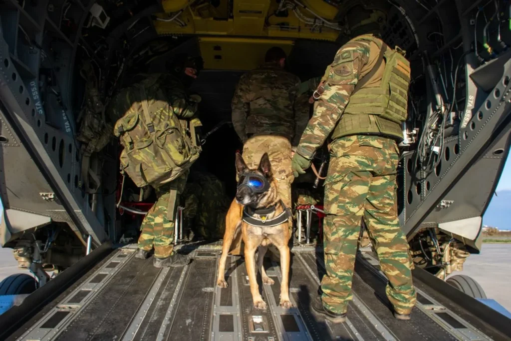 Στρατιωτικός σκύλος της 71 Α/Μ ΤΑΞ